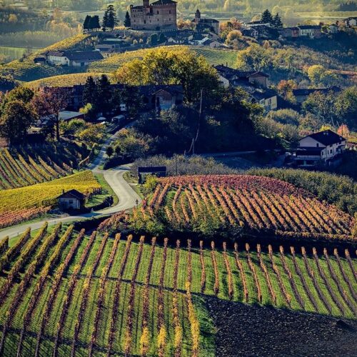 Sapori del Piemonte