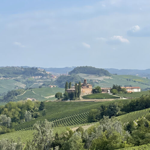 Una giornata immersi nelle Langhe